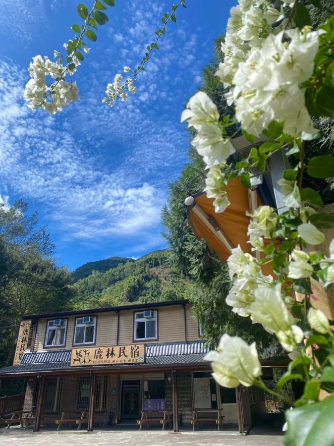 Lu-Lin B&B Wufeng  Εξωτερικό φωτογραφία